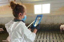 Animal caregiver uses telemedicine platform to communicate with a veterinarian in a simulated class activity