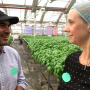 Viraj Puri, cofounder and CEO of Gotham Greens, talks with Amy Sowder, northeast editor of The Packer, during a summer tour for media, at the Brooklyn, N.Y., greenhouse location on top of Whole Foods Market.