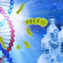 Data from NARMS are used by FDA in the regulatory review of new animal antimicrobial drugs, and to develop policies on judicious antimicrobial use in animals.