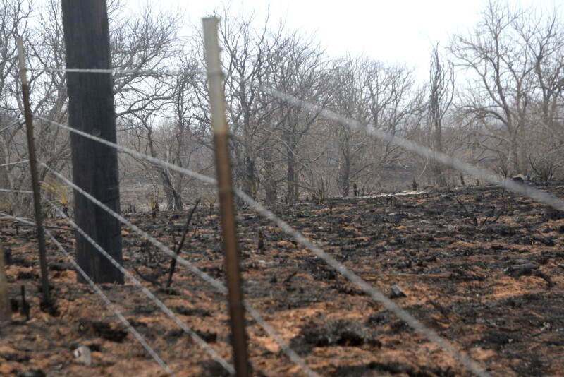 wildfire fence