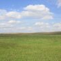 Pasture