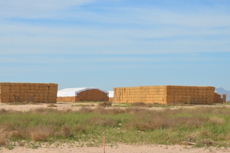 Wheat_Straw_Bales