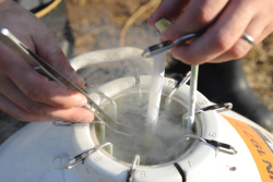 artifical insemination tank