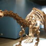 Ultrasaurus