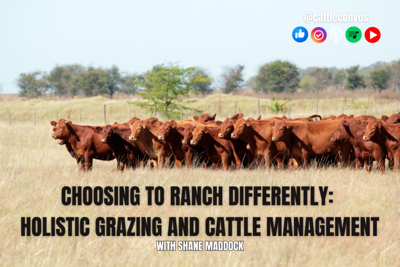 Rebuilding Degraded Land: How Maddock Ranch Combines Generation Wisdom ...