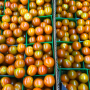 Peter Condakes Co. packs and ships tomatoes in the New England Produce Center in Chelsea, Mass.