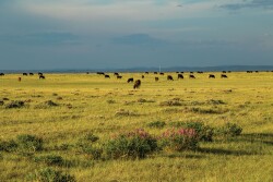 Hall Ranch