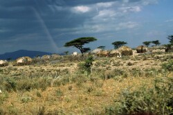 Africa Village