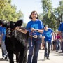 Iowa Governor Kim Reynolds, youth exhibitor Marcus Gaul and steer Frank the Tank.