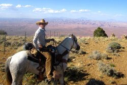 CHRIS HEATON ANTIQUITIES ACT