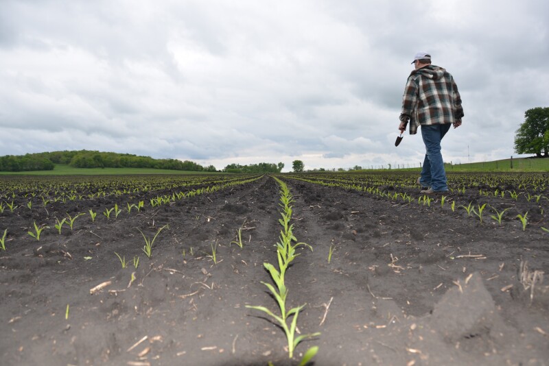 The latest edition of Farmer Mac's "The Feed" paints a more optimistic picture for 2019, based on better livestock prices and other factors; however, headwinds will persist. 