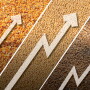 Prices are positive for grains.