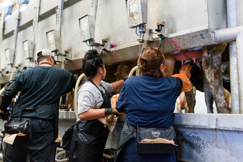 Immigrant labor is critical to the operation of many types of farming operations across the country.
