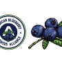 American Blueberry Growers.png