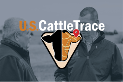CattleTrace