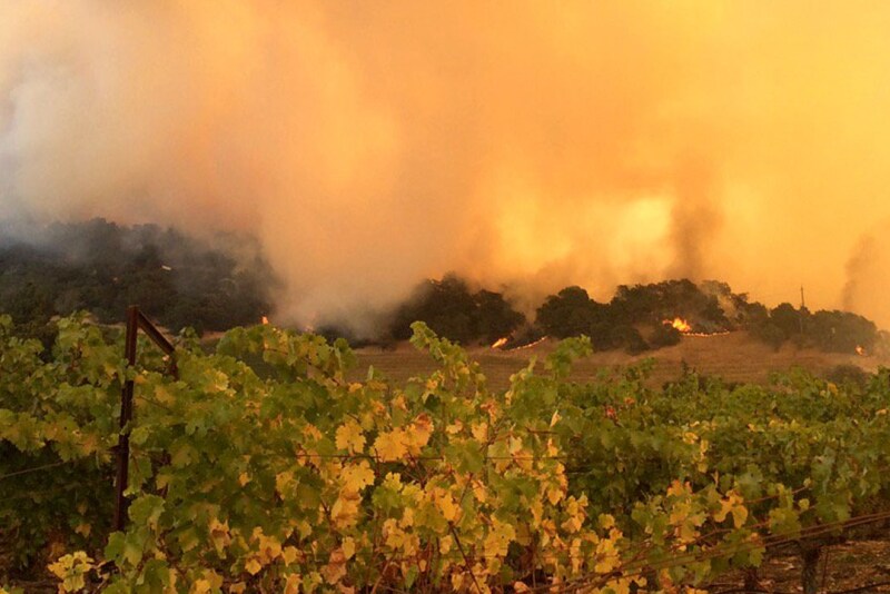 Wildfires sweep across California vineyards.