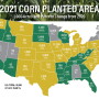 USDA's Prospective Plantings report released Wednesday showed farmers intend to plant more acres overall, but fewer than what the trade expected. Here's a breakdown of which states are seeing a shift in 2021 acres.