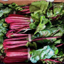 Just-packed Swiss chard at Flaim Farm in Vineland, N.J., is ready for shipping the day of harvest.