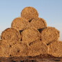 Hay bales