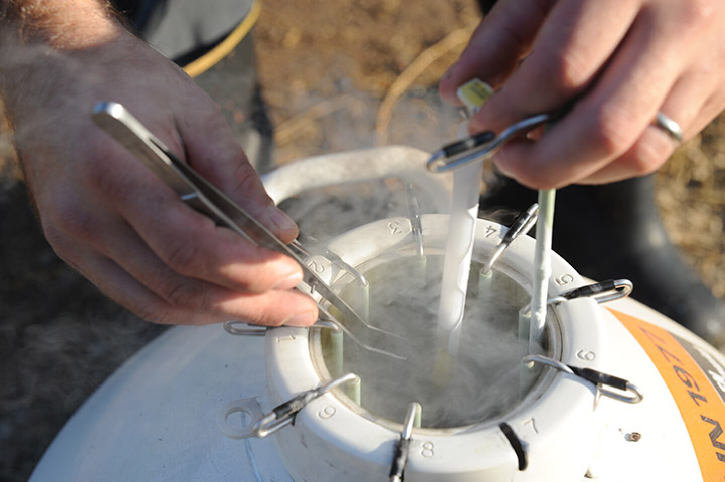 Semen Tank