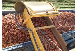 Danny Andrews, owner of Dan Andrews Farms LLC, says his company is on track to have carrots in June and melons in July.