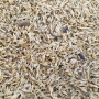 weed seeds