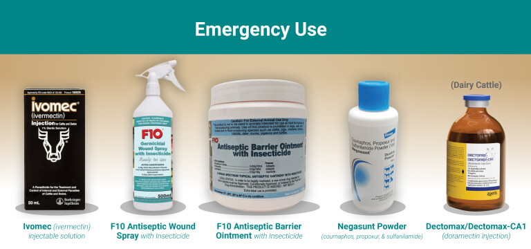 Screw Work Insecticides What Products are Available to Prevent and Treat New World Screwworm ...