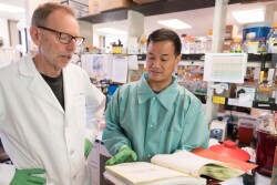 Professor Glenn Telling, director of the Prion Research Center at CSU (left), talks with Jifeng Bian, research assistant, about their chronic wasting disease research. 
