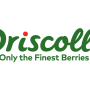 driscolls