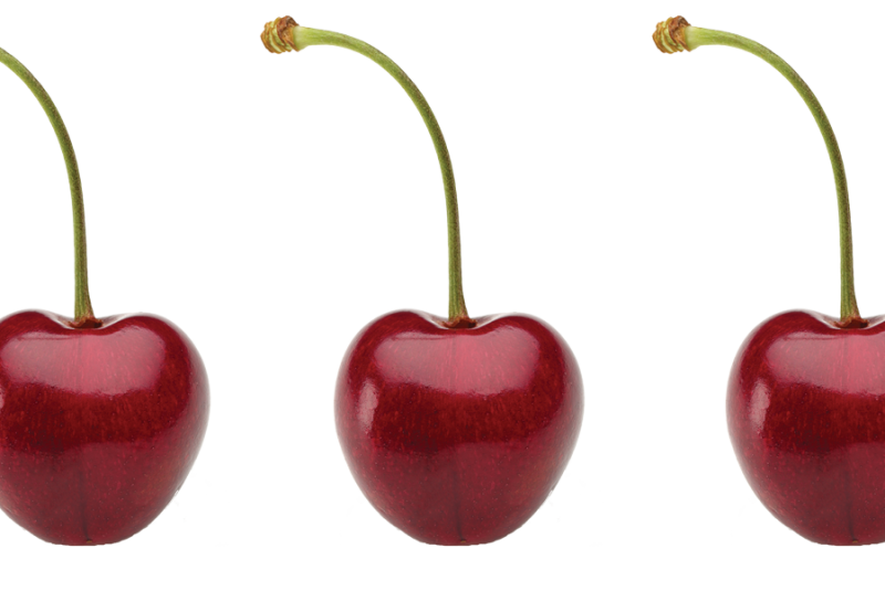 British Columbia cherries are on track for a late June start.