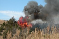 Cedar_Tree_Fire