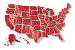 United We Steak