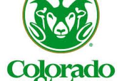 CSU has tapped into expertise from across the university as well as industry in the design of the Sustainable Livestock Systems Collaborative. 