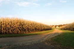 Farmer Mac economist Jackson Takach says relatively low interest rates, better commodity prices, inflation and solid cash inflows are all factors contributing to the rapid rise in farm real estate values. 