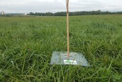 Falling Plate Meter
