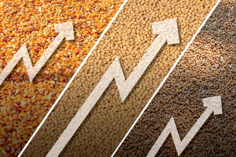 Prices are positive for grains.