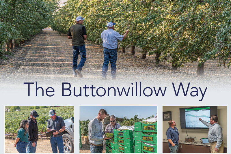 Buttonwillow Cattle Ranch The Buttonwillow Way: Centered On The Customer, Nimble For Change - The ...