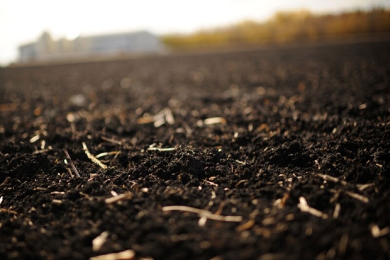 RedRiverValleySoil