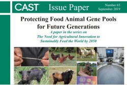 The report outlines specific goals and strategies for preserving availability of older livestock breeds and potentially critical genetic traits.