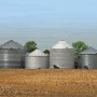 Grain storage can be a tool, but storing too long can be a major fault in grain marketing. 