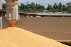 shipping corn trade