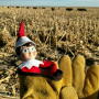 This elf would rather spend his time on the ranch than on a shelf.