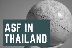 ASF in Thailand