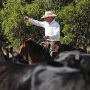 Brian Treadwell, Treadwell Cattle Co.