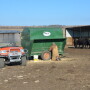 BT_Weaning_Calves