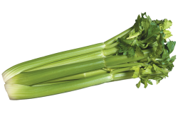 9FA843E3-8B95-46EC-B1B8D310F10B67CC.png