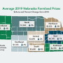 The market value for farmland in the Cornhusker state dropped again in 2019. The average per-acre value is $2,650, a 3% drop from 2018.