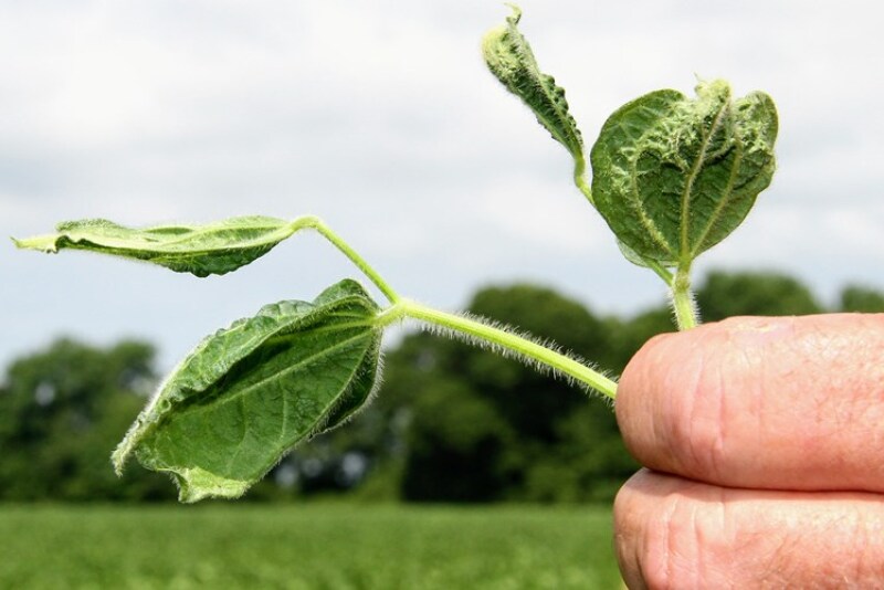 27 producers in eight west Tennessee counties have filed complaints with TDA regarding possible pesticide drift incidents.