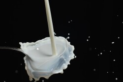 drip-175551_1280.jpg