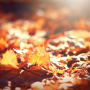 46C2BAED-08EF-4209-958BFB93618A7A61.png